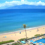 ハワイの様子をライブカメラで楽しむ！